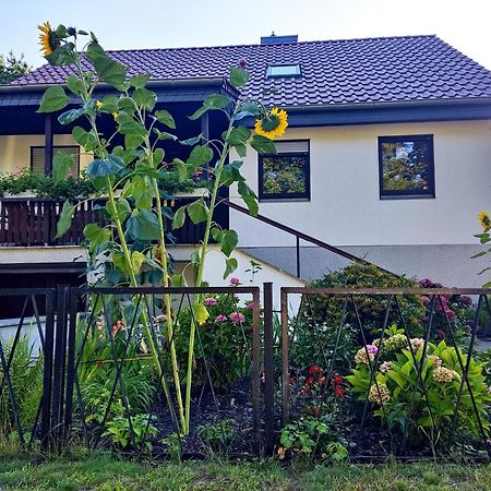 Waldhus Villa Uckeritz Bagian luar foto