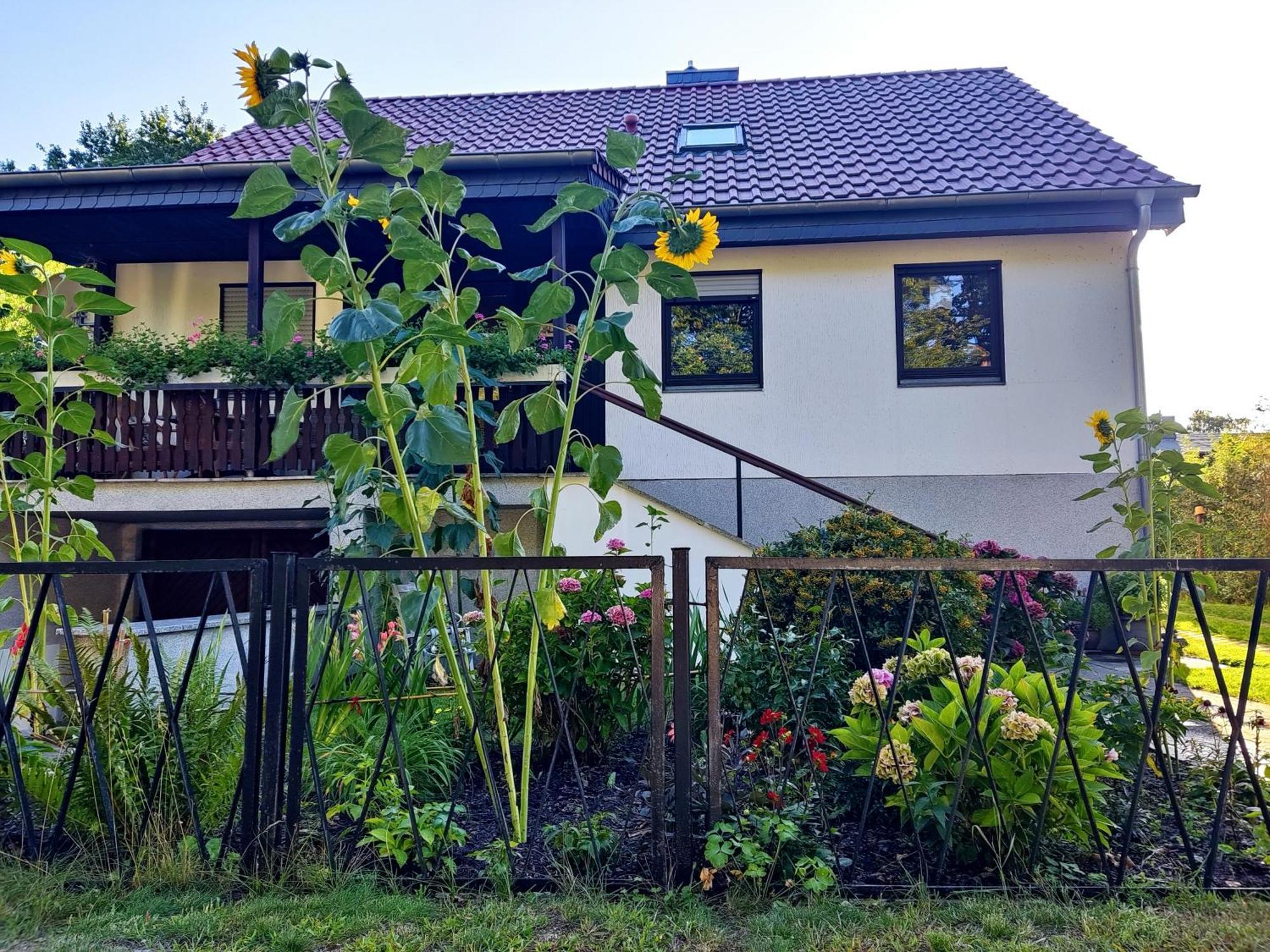 Waldhus Villa Uckeritz Bagian luar foto
