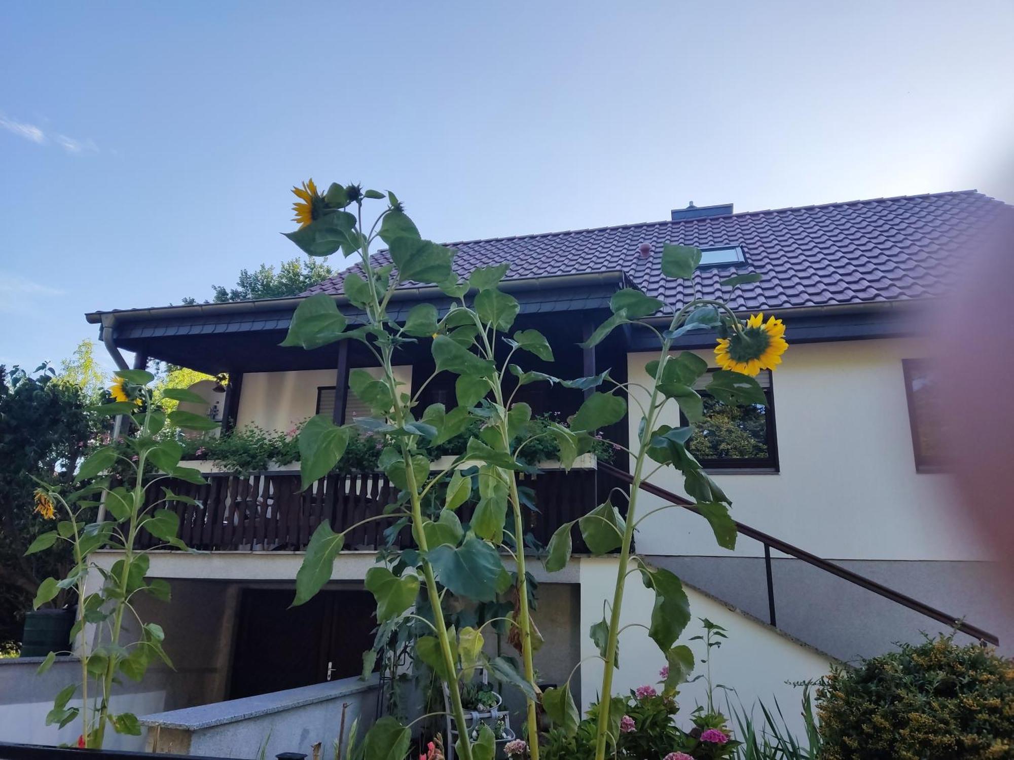 Waldhus Villa Uckeritz Ruang foto
