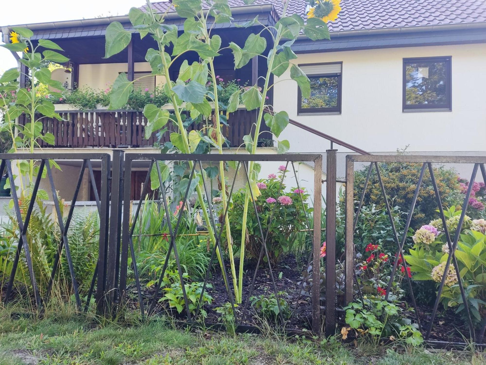 Waldhus Villa Uckeritz Ruang foto